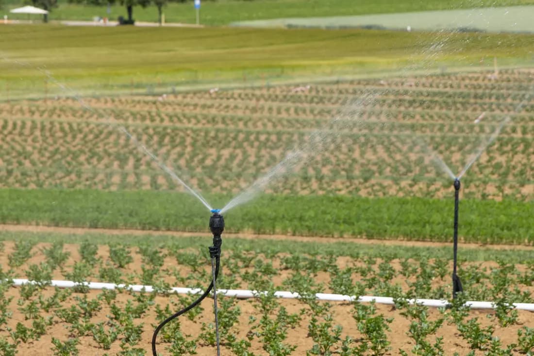 Sprinkler irrigation running over a field